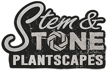 Stem & Stone Logo
